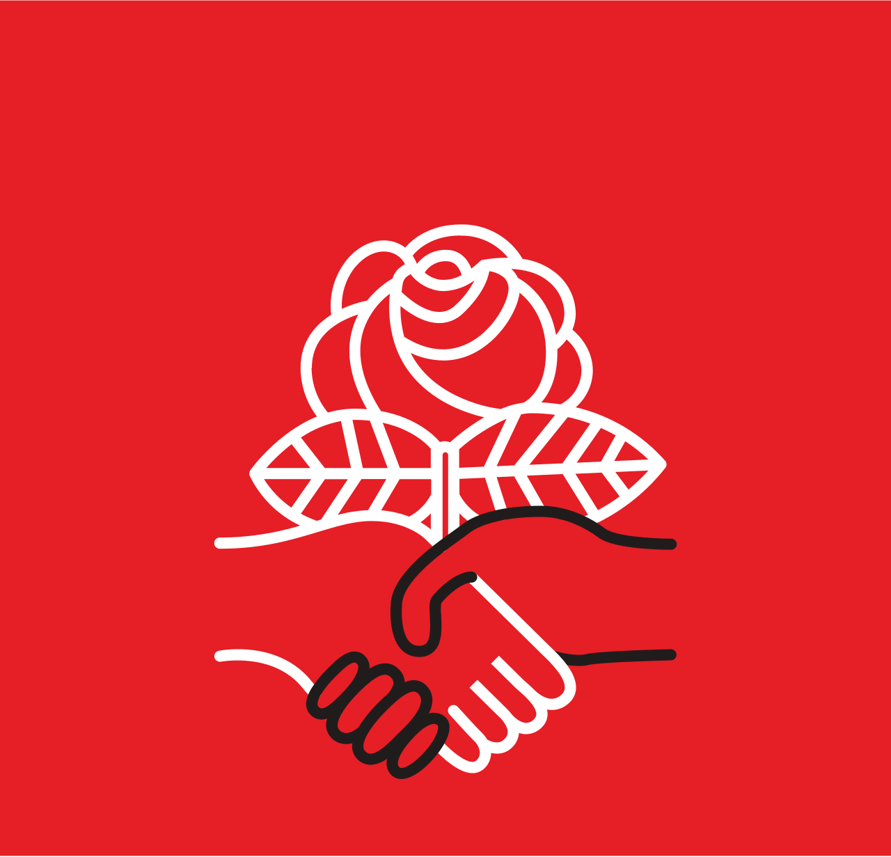 Democratic Socialists— A Reformist Anti-Establishment Movement in the US